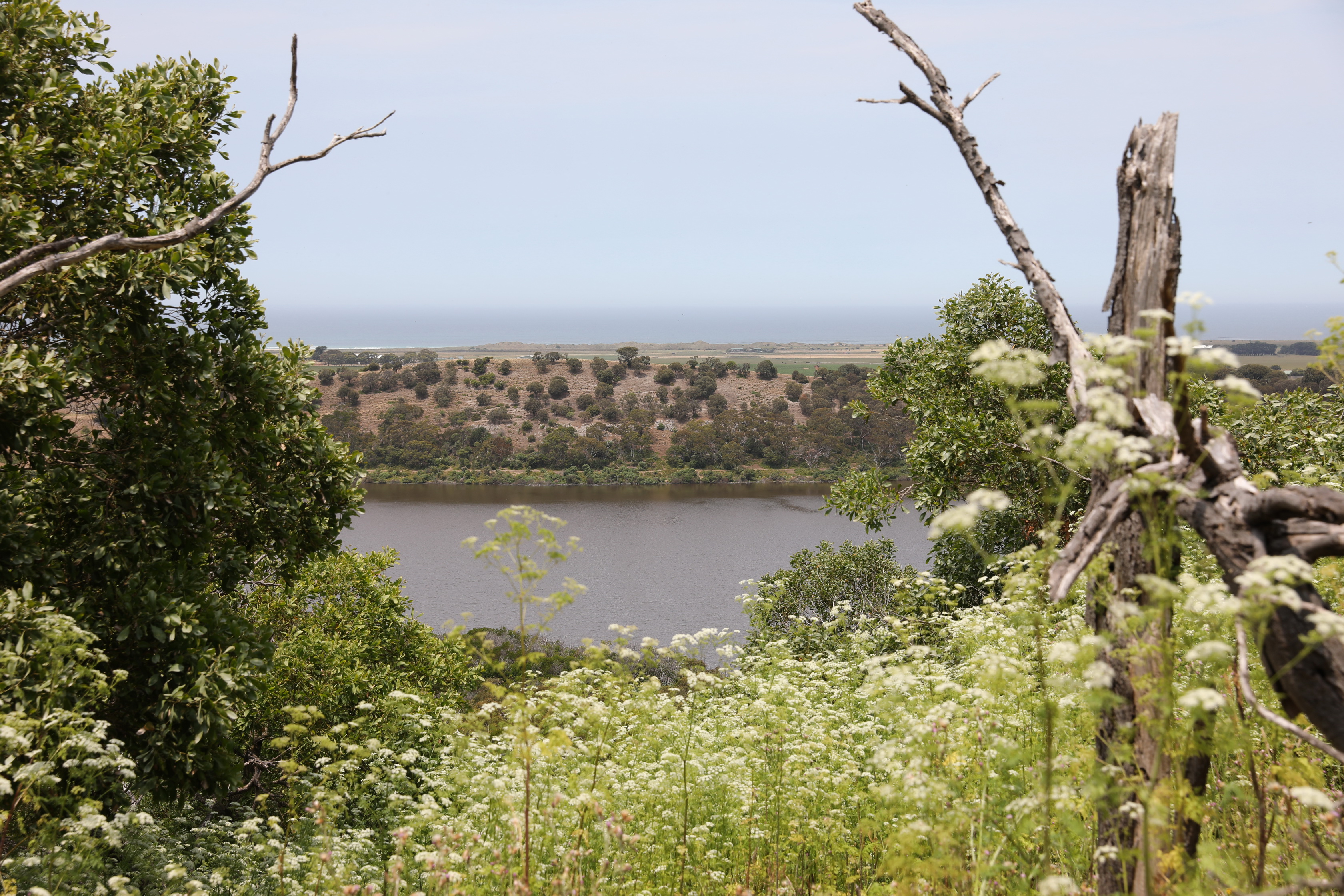Tower Hill Wildlife Reserve